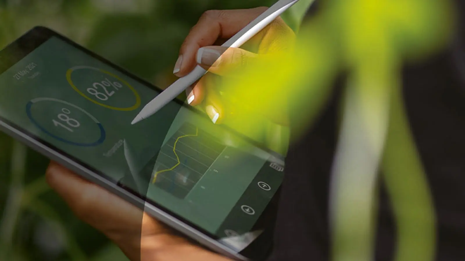 Schneider Uses AI to Cut Costs & Go Green